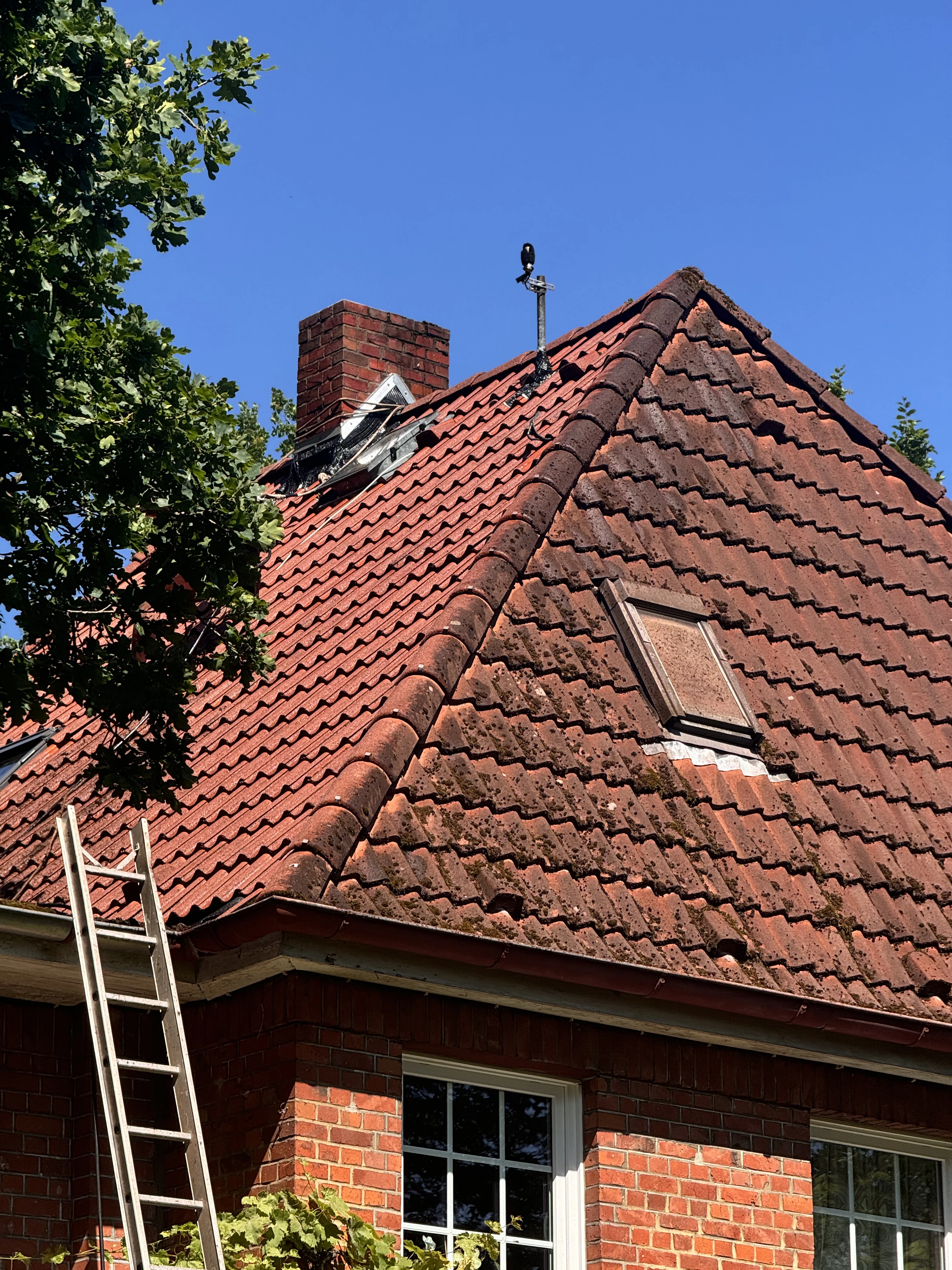 Dachreinigung Hamburg Vorher Nachher Moos Algen Dachrestauration – KIELS. Gebäudeservice Hamburg